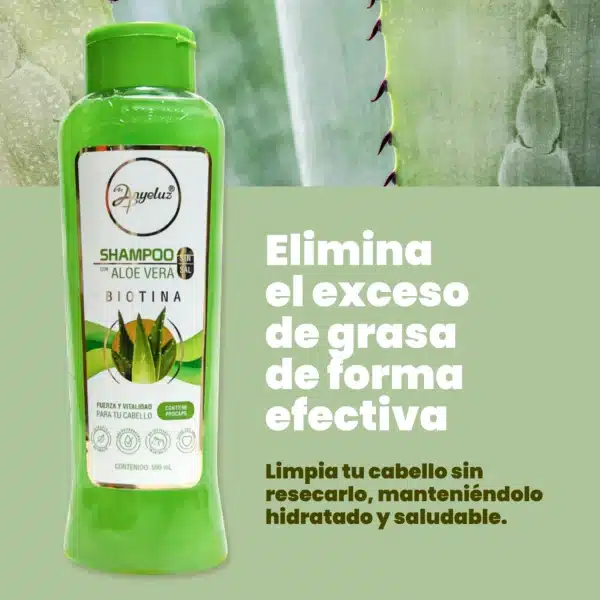 Shampoo Aloe Vera Anyeluz - Imagen 2