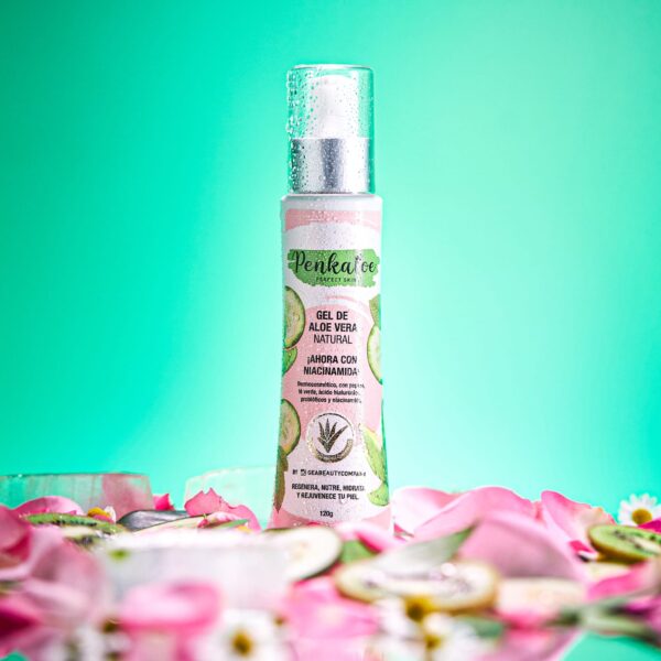 Gel de Aloe Vera Penkaloe