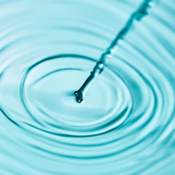 Bruma Herbal Penkaloe - Imagen 4