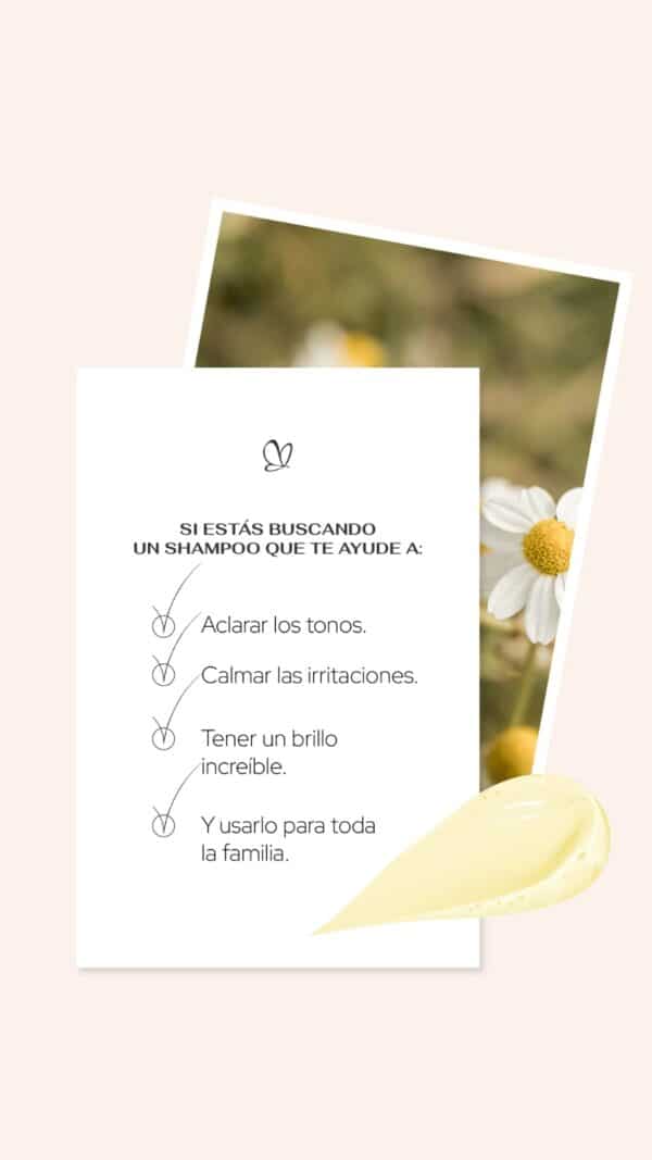 Shampoo con Manzanilla Anyeluz - Imagen 2