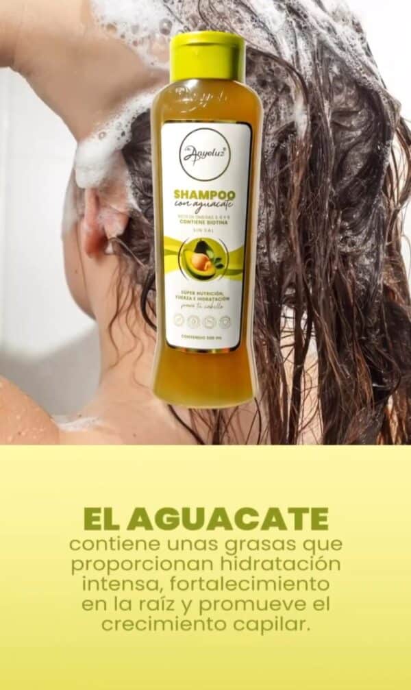 Shampoo con Aguacate Anyeluz - Imagen 2