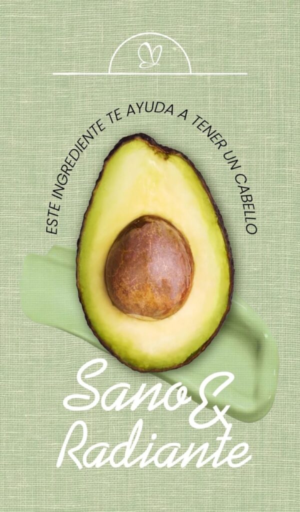Shampoo con Aguacate Anyeluz - Imagen 3