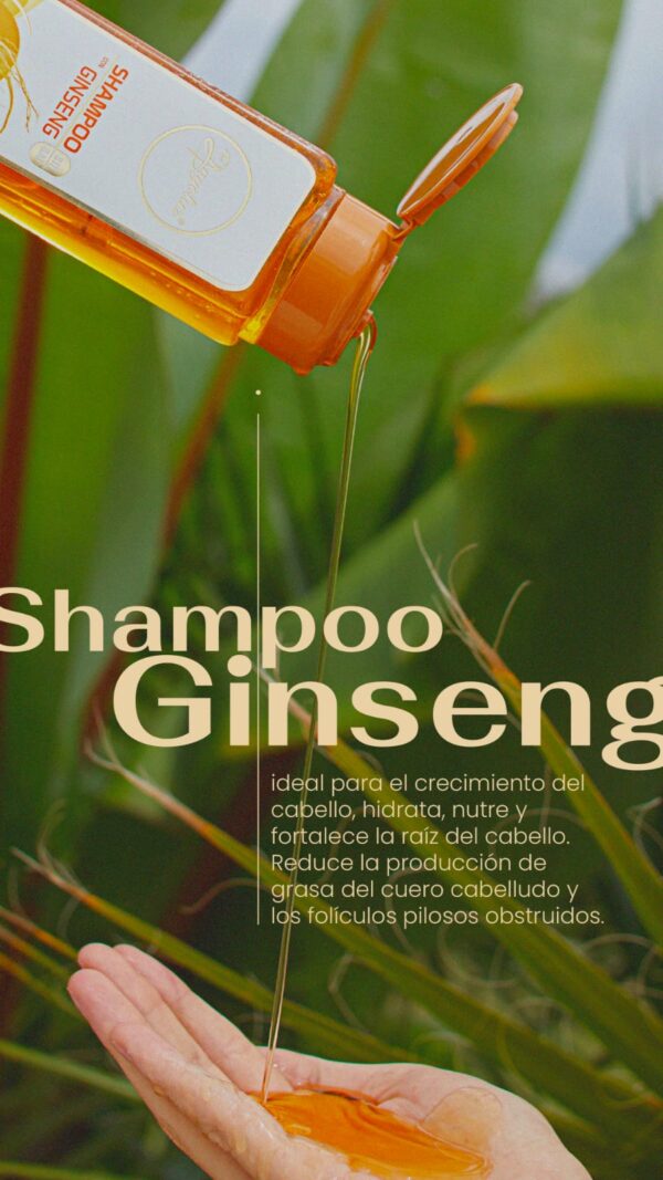 Shampoo de Ginseng Anyeluz - Imagen 5